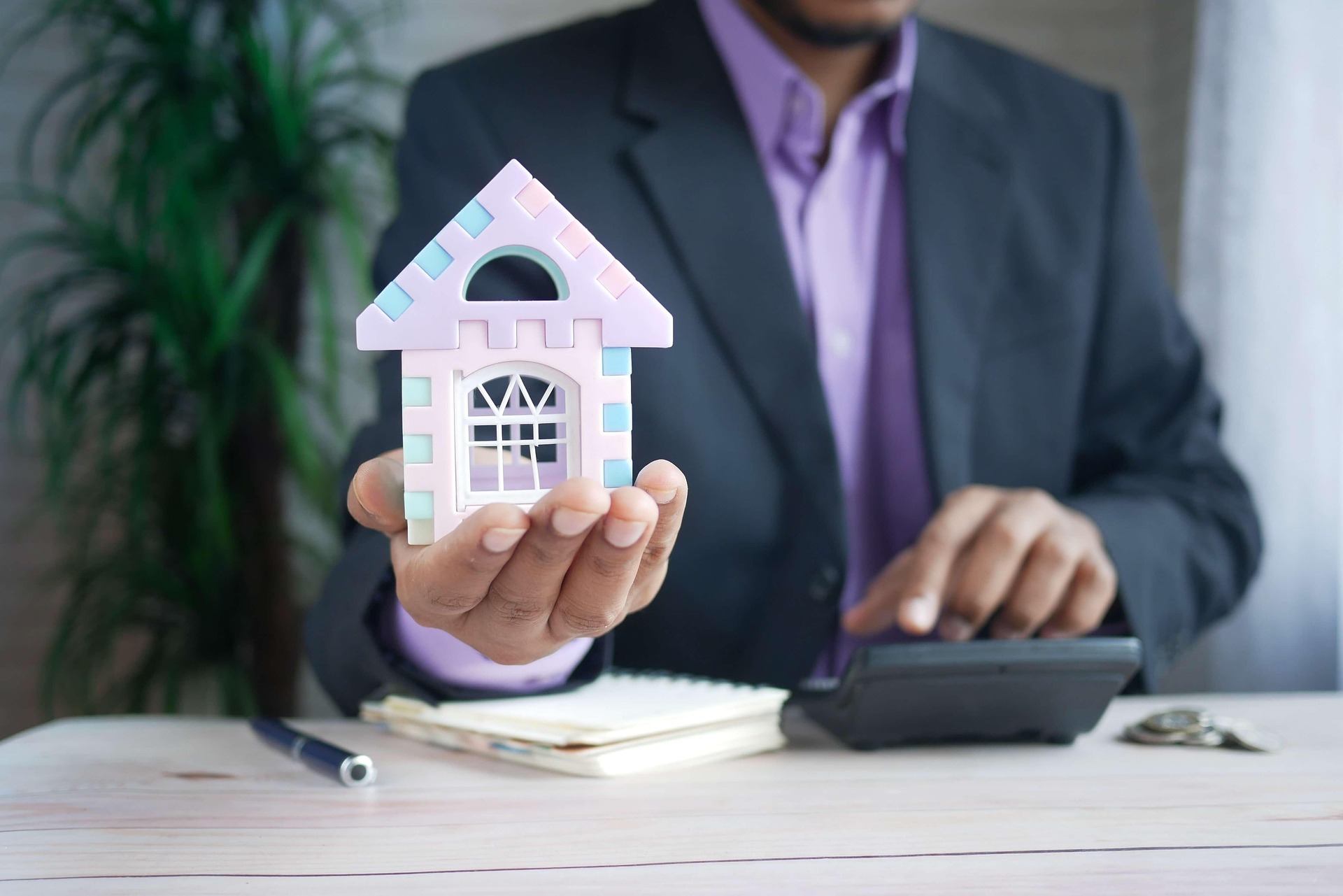 Professional property consultant